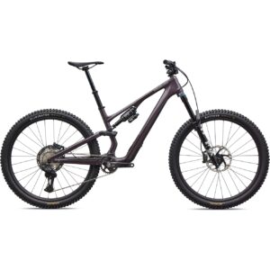 Stumpjumper 15 EVO Expert